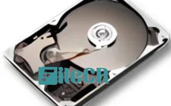 7thShare Data Recovery