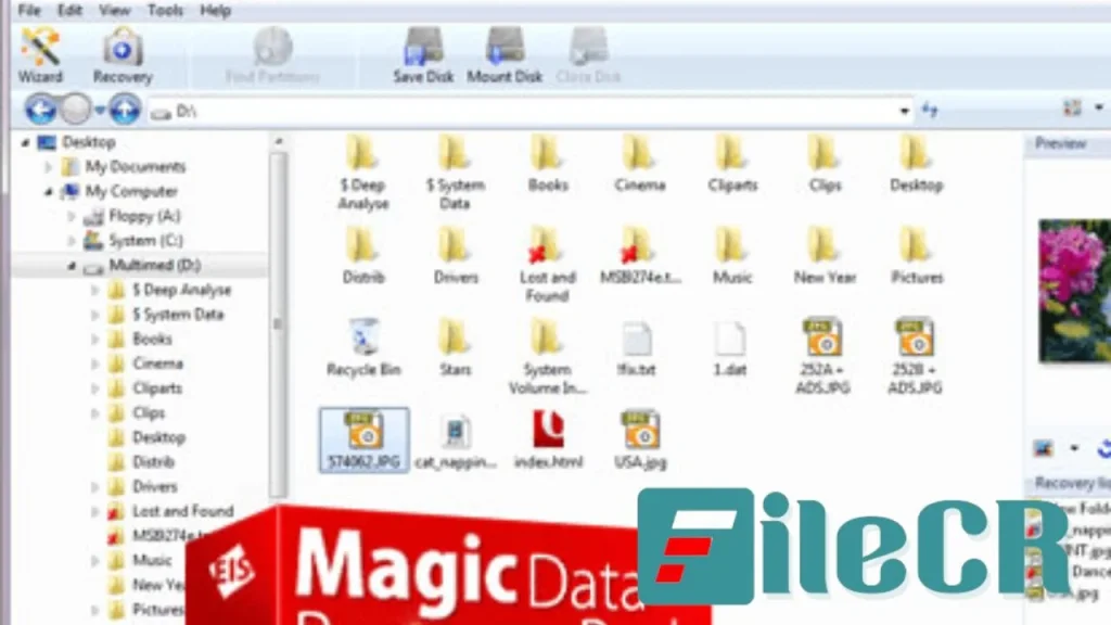 Magic Data Recovery Pack