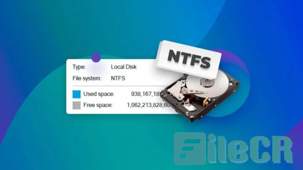 NTFS FAT Data Recovery