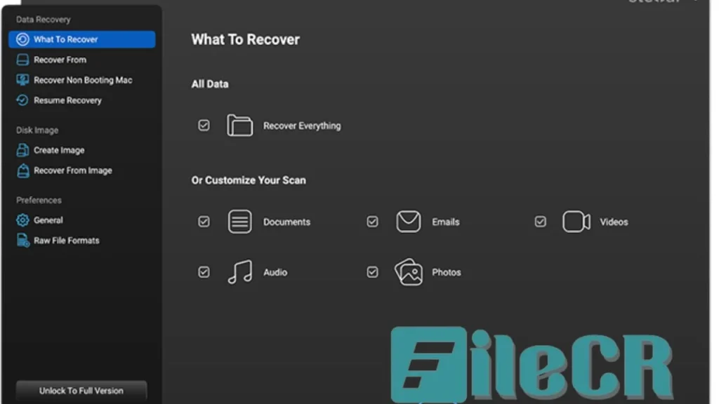 Stellar Data Recovery Professional 