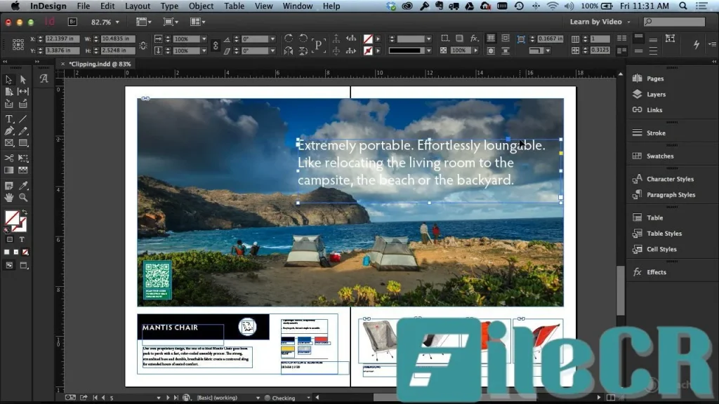 Adobe InDesign