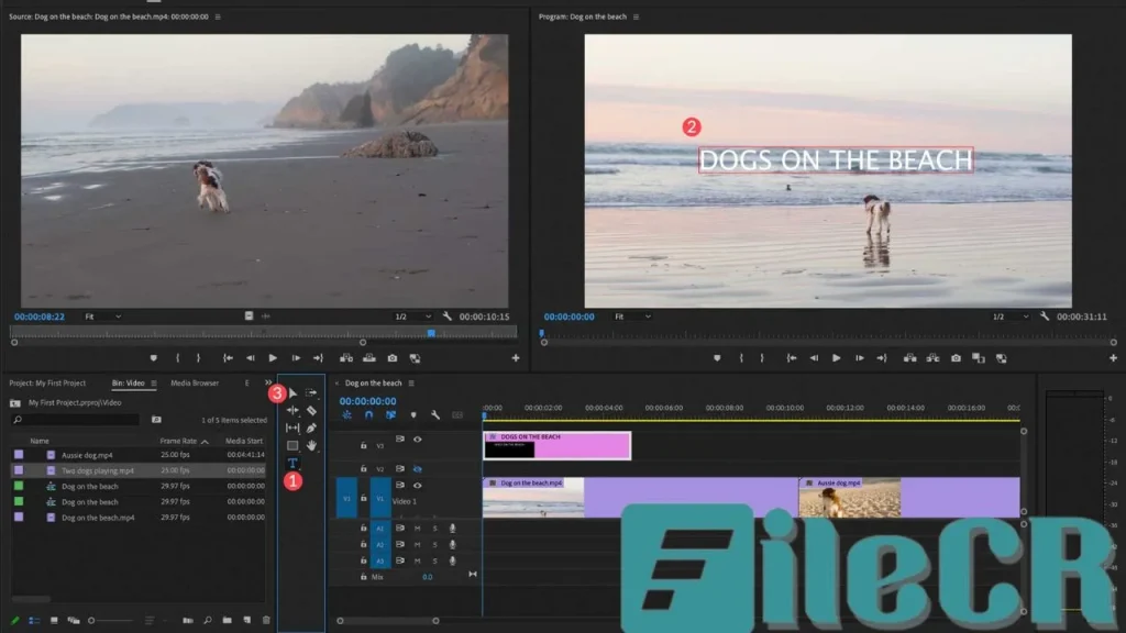 Adobe Premiere 