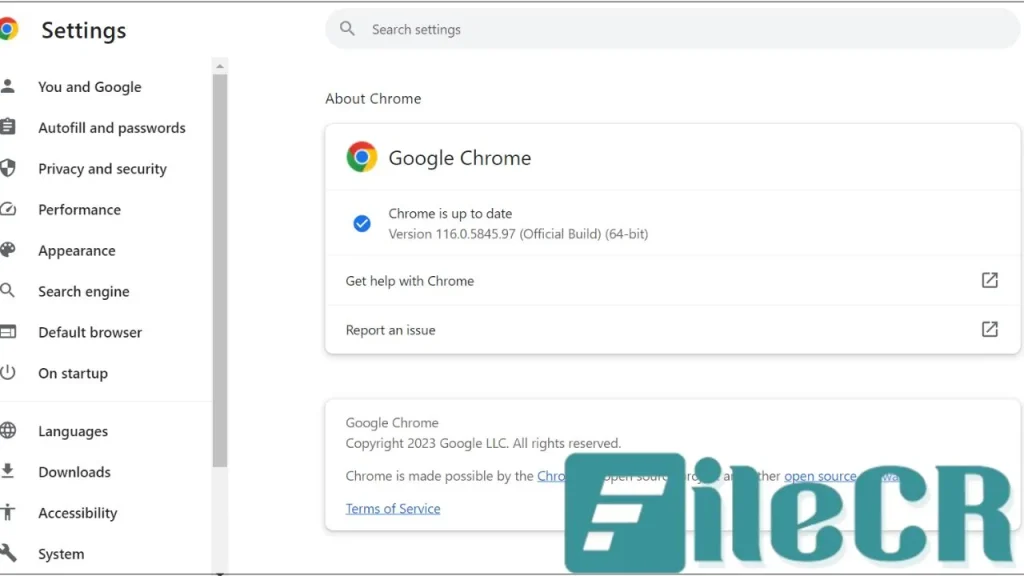 Google Chrome