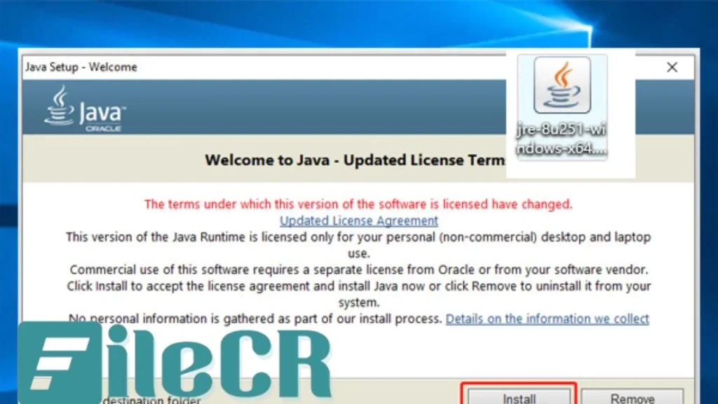 Java SE Runtime Environment 