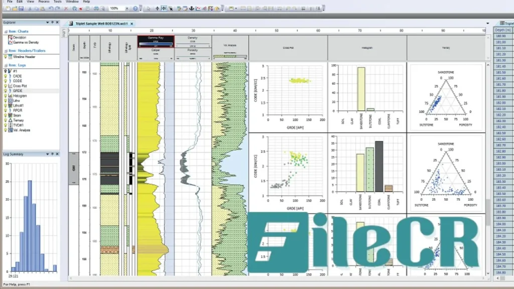 Advanced Logic Technology WellCAD 