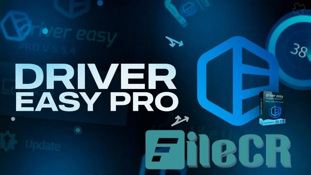 DriverEasy Professional