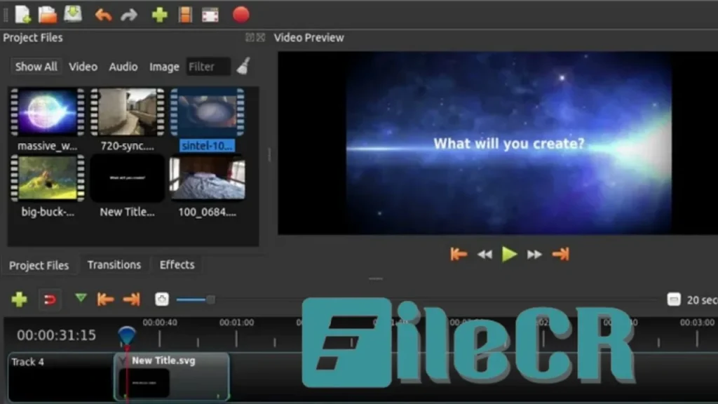 EaseUS Video Editor