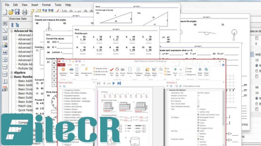 Math Resource Studio Professional 