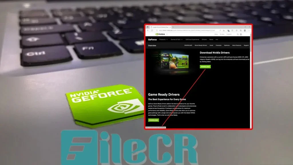 NVIDIA GeForce Drivers 