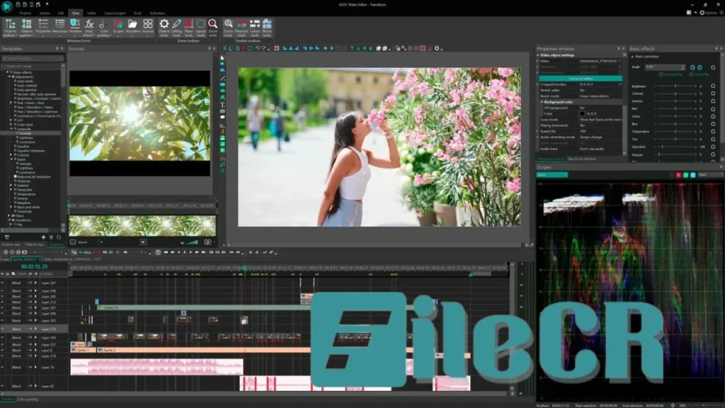 VSDC Video Editor Pro