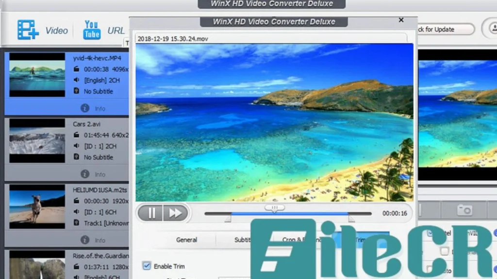 WinX HD Video Converter Deluxe