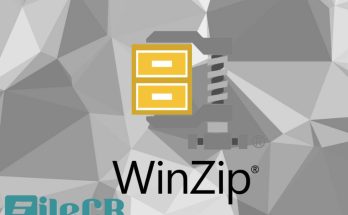 WinZip Disk Tools