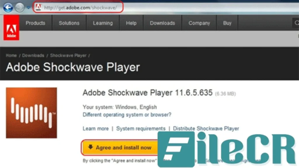 Adobe Shockwave Player