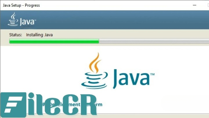 Java Runtime Environment