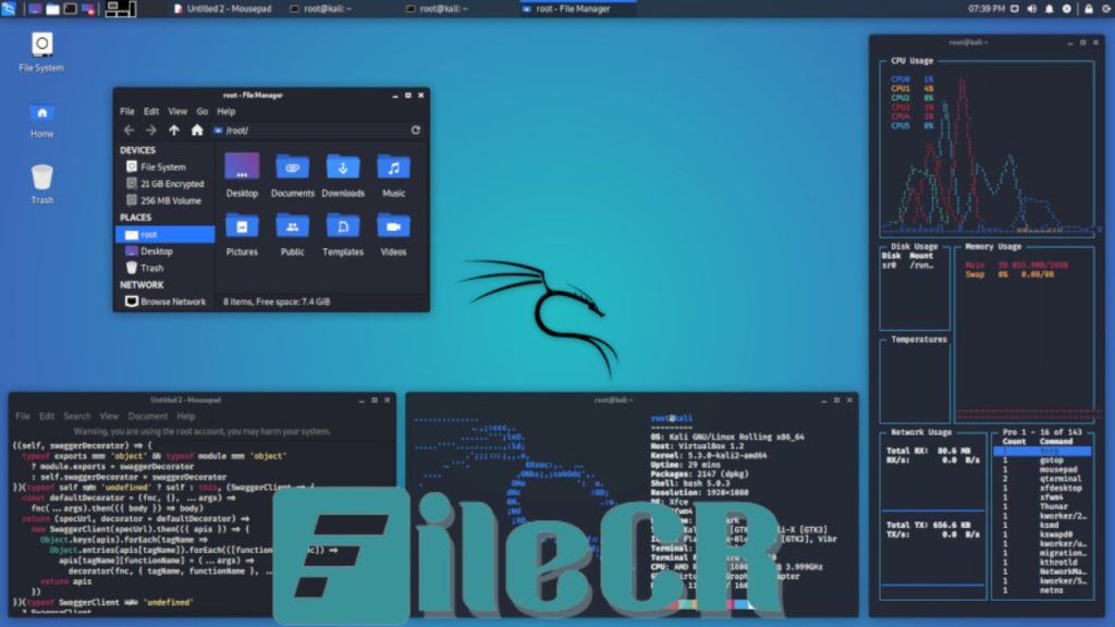 Kali Linux 