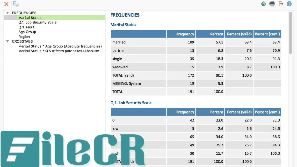 MAXQDA Analytics Pro