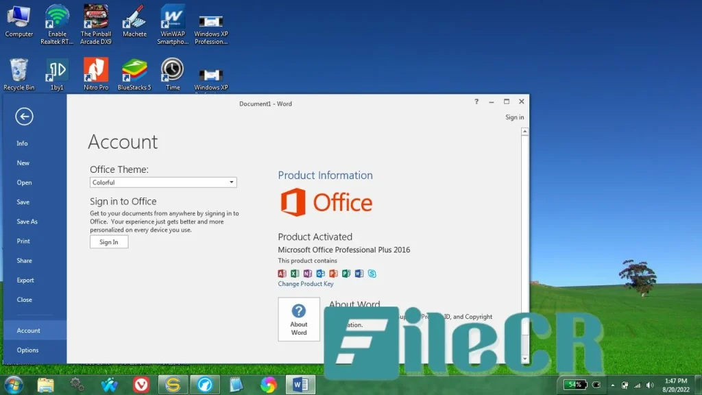 Microsoft Office 2019 Pro