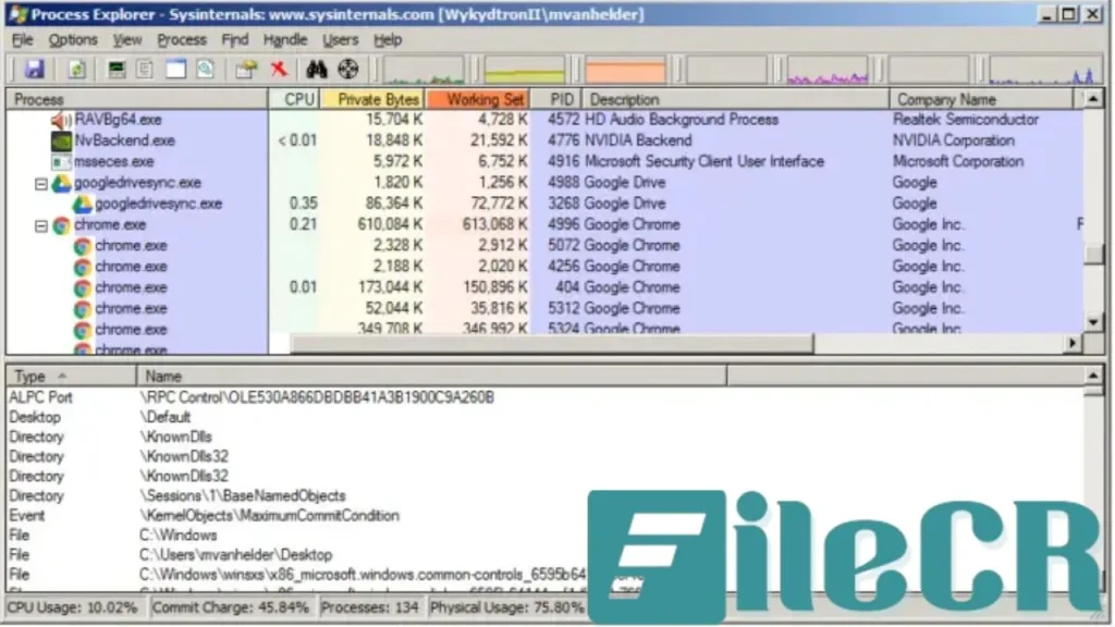 Process Explorer